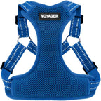 Voyager Step-in Flex Adjustable Dog Harness - Royal Blue, Small | 15 - 18" in Chest, Fully Adjustable, Reflective Bands, All Weather Breathable Air Mesh, Lightweight, Fast Drying