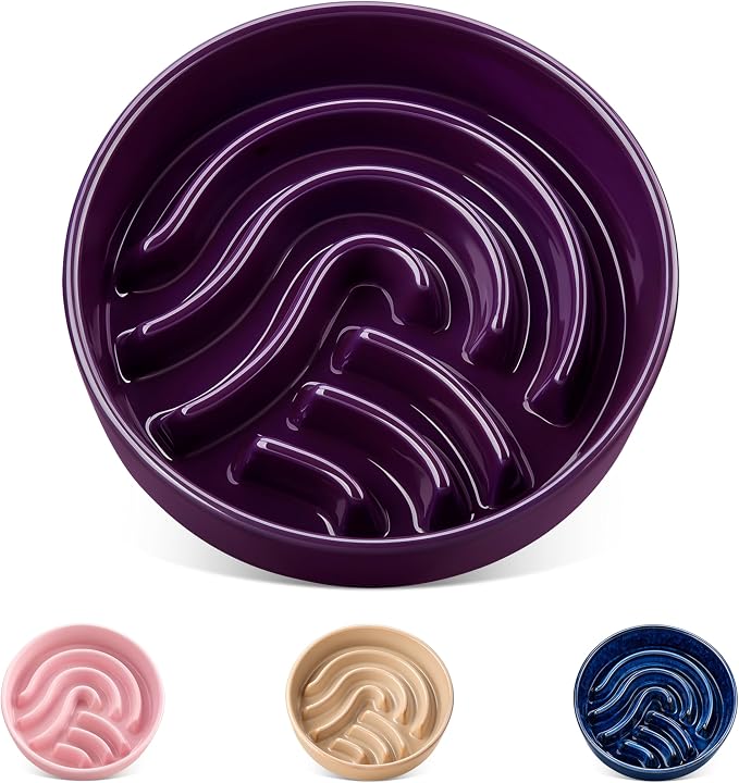 vancasso Slow Feeder Dog Bowl, 0.6 Cup Ceramic Slow Feeding Food Dish for Small Breed, Puzzle Dog Food Bowl for Fast Eater, Dark Purple