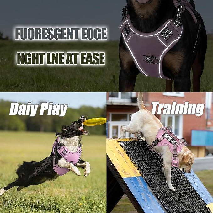 Service Dog Tactical Vest Harness and Leash Set Large Sized Dog Emotional Support- Tactical Dog Harness Training Collar with Name (Pink, XL)