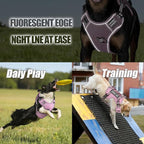 Service Dog Tactical Vest Harness and Leash Set Large Sized Dog Emotional Support- Tactical Dog Harness Training Collar with Name (Pink, XL)