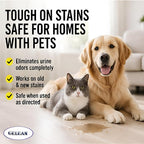 Multi-Purpose Probiotic Enzyme Cleaner, Made in USA - Pet Stain and Odor Remover - Concentrated - Professional & Home Strength Drains, Floors, Bathrooms, Toilets Trash Can, (1 gallon, Fresh fragrance)