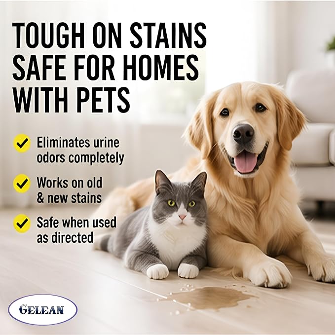 Multi-Purpose Probiotic Enzyme Cleaner, Made in USA - Pet Stain and Odor Remover - Concentrated - Professional & Home Strength Drains, Floors, Bathrooms, Toilets Trash Can, (1 gallon, Fresh fragrance)