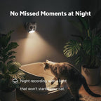 LitterLens Cat Litter Box Camera with App, AI Health Monitoring & Alerts, Track Urination & Stool, Multi-Cat Recognition, Works with Every Litter Box, Pet Health Monitor (Gray)
