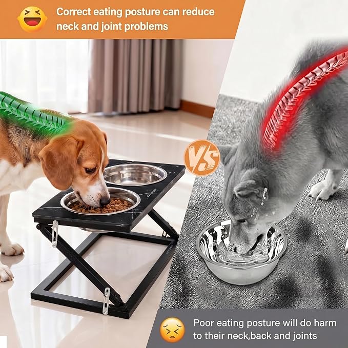 Elevated Dog Bowl, Adjustable Height and Tilt Angle Dog Bowl Stand | Precisely Adjust Height And Tilt Angle, Easy To Clean, Equipped With 2 Stainless Steel Food Bowls, Sturdy And Durable.