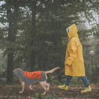 IECOii Dog Raincoat,Waterproof Rain Coat for Small Dogs,Adjustable Pet Rain Jacket with Hood,Lightweight Doggy Raincoats with Reflective Stripes,Orange,Small