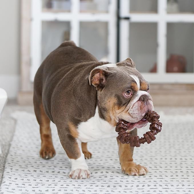 Nylabone Power Chew Customer Favorites Dog Chew Toys, 3 Count, Large | Flavor Medley, peanut butter, and beef flavor, durable dog toys for aggressive chewers, for large breeds up to 50 lbs