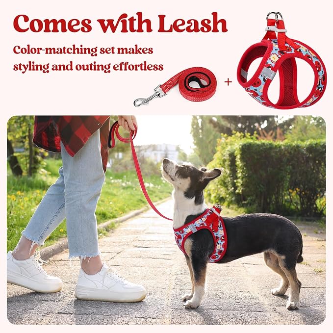 rabbitgoo Dog Harness Small Sized and Leash Set, Step-in Puppy Pet Vest | Light, Soft, Breathable Air Mesh, Easy on and Remove with Hook & Loop, Secure Reflective for Walking, Apple Pups XS