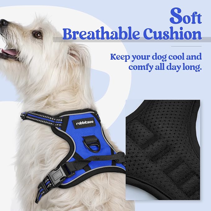 rabbitgoo Dog Harness, No Pull for Small Dogs with 2 Leash Clips, Pet Vest | No Choke with Handle, Adjustable Soft Padded, Reflective, Easy Control for Walking, Dazzling Blue, X-Small
