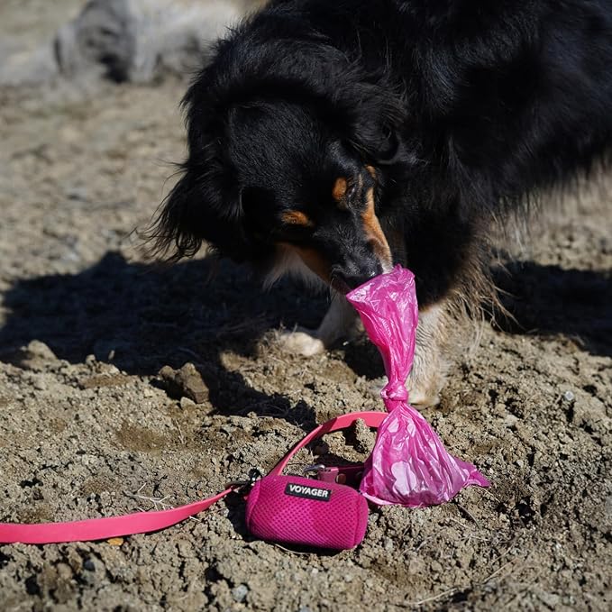 Best Pet Supplies Poop Bags for Dogs - Pink Heart, 360 Count | Scented, Leak-proof, Easy-Tear perforations, 15 Thick Bags per roll, Outdoor Walking & Travel, Fits Standard Holders