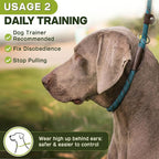 Fida Durable Slip Lead Dog Leash Bulk Pack of 5, Heavy Duty 1/2" x 6 FT Comfortable Strong Rope Slip Lead for Large, Medium & Small Dogs No Pulling Pet Training Leash with Highly Reflective (Blue)