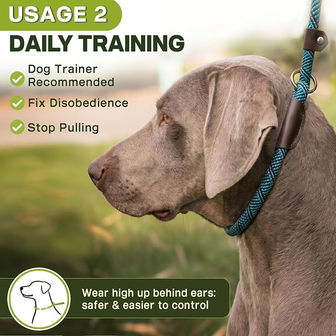 Fida Durable Slip Lead Dog Leash, 6 FT x 3/8" Heavy Duty Comfortable Strong Rope Slip Lead for Small Dogs and Puppies, No Pull Pet Training Lead with Highly Reflective(3/8", Blue)