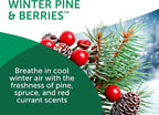 Bright Air 14 oz. Super Odor Eliminator, For Medium-Size Spaces, Winter Pine & Berries Scent, Case of 6, Odor Eliminator & Air Freshener, Natural Essential Oils, Lasts Up to 90 Days Each