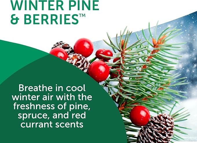 Bright Air 14 oz. Super Odor Eliminator, For Medium-Size Spaces, Winter Pine & Berries Scent, Case of 6, Odor Eliminator & Air Freshener, Natural Essential Oils, Lasts Up to 90 Days Each