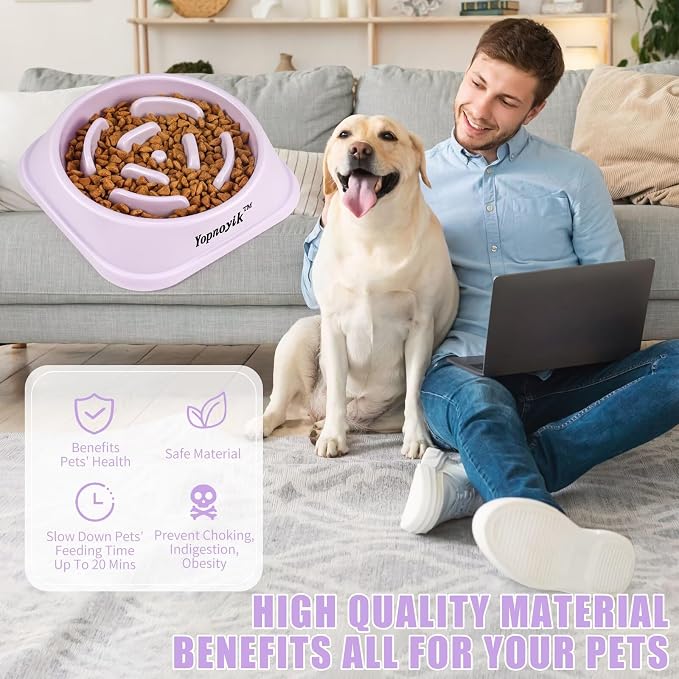 Slow Feeder Dog Bowls for Large Dogs | Non-Slip Base, Anti-Choking Design, Reduces Bloating & Overeating, Easy to Clean, 4 Cups