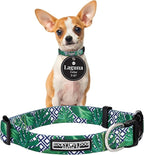 Lucky Love Dog Collar, Beautiful & Vivid Pattern X-Small Boy Dog Collars, Easy On & Off Clasp Accessory (Blue Laguna, XS)