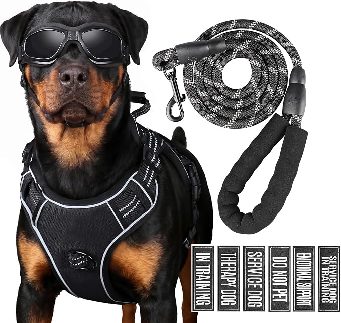 Service Dog Tactical Vest Harness and Leash Set Large Sized Dog Emotional Support- Tactical Dog Harness Training Collar with Name (Black, M)