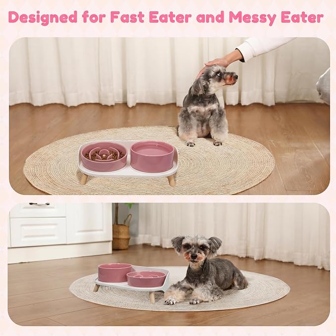 Elevated Slow Feeder Dog Bowls with Splash Proof Stand, Slow Eating 5X | 6.5″ Dog Slow Feeding Bowls & 6.1″ Dog Food Dish, Non-Slip Raised Food and Water Bowl Set for Small and Medium Breeds, Pink