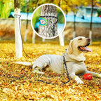 NTR Dog Rope Leash, 20FT Recall Training Lead with 2 Swivel Hooks, Reflective Threads and Soft Rubber Handle, Puppy Leash for Walking, Hunting, Camping for Small Medium and Large Dogs-Purple