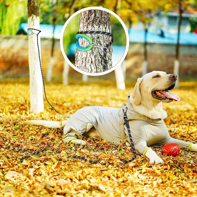 Long Leash for Dog Training 10FT/15FT/20FT/30FT/40FT/50FT/100FT Reflective With 2 Hooks, Heavy Duty Lead for Large Medium Small Dogs Outside Walking Camping Yard, Black 100FT