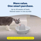 PetSafe Creekside Ceramic Pet Fountain, 60 Oz, 4-Pack Carbon Filters | 60 Oz Capacity, Whisper-Quiet Flow, Includes Carbon Filters, Top-Rack Dishwasher Safe