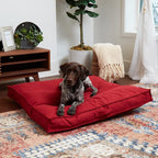 Happy Hounds Milo Square Tufted Pillow Dog Bed, Scarlet, Large (40" x 40")
