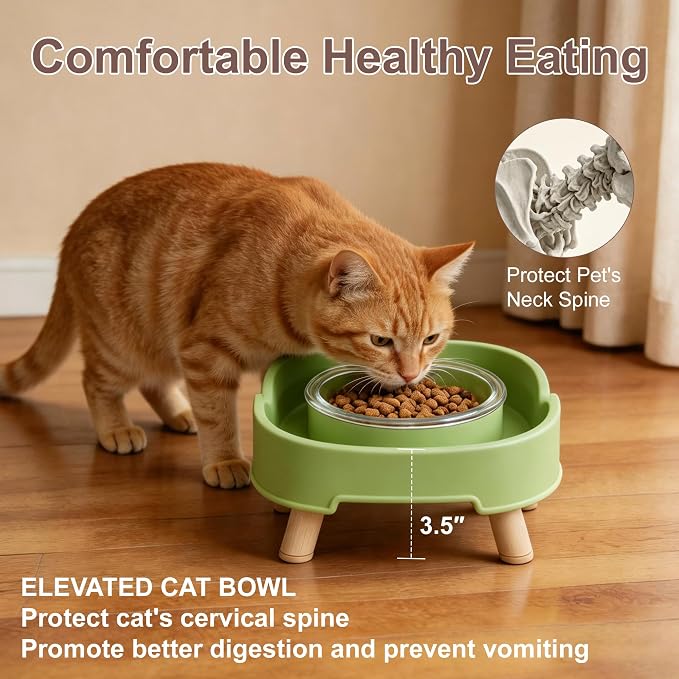 Ant Proof Cat Food Bowl, Elevated Cat Feeding Bowl, Green, 1pcs | Prevents Ants from Entering and Reduces Neck Stress, Non-Slip Elevated Cat Feeding Bowl