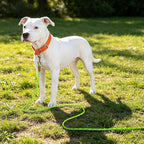 lynxking Long Dog Leash Reflective 15FT 30FT 50FT Check Cord Dog Training Leash Padded Handle Heavy Duty Puppy Rope for Small Medium Large Dog