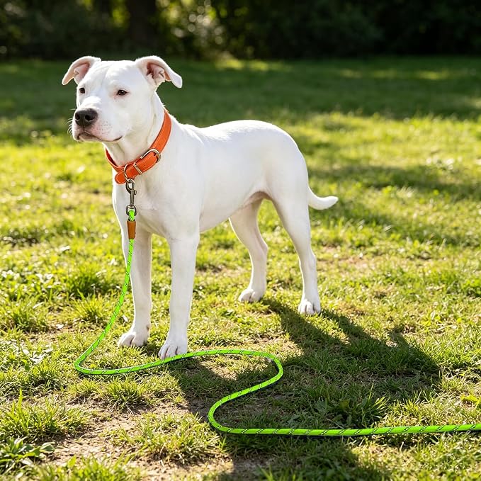 lynxking Long Dog Leash Reflective 15FT 30FT 50FT Check Cord Dog Training Leash Padded Handle Heavy Duty Puppy Rope for Small Medium Large Dog
