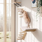 4-Piece Cats Wall Furniture with Cat Window Perch – Wood Wall Mounted Cat Shelves Set with Foam-Padded Curved Bed, Flat Perch & 4-Step Cats Stairs