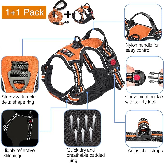 tobeDRI No Pull Dog Harness Adjustable Reflective Oxford Easy Control Medium Large Dog Harness with A Free Heavy Duty 5ft Dog Leash, Orange, L