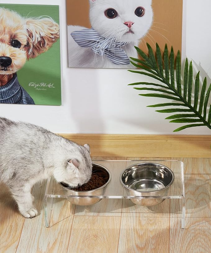 Acrylic Elevated Dog Cat Bowls Pet Feeder Double Bowl Raised Stand Comes with 4 Removable Stainless Steel Bowls. Perfect for Cats Puppies Small Dogs, 3.75 Inch