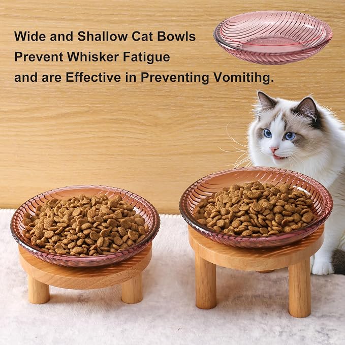 Cat Bowls Whisker Friendly with Wooden Stands. Raised Elevated Glass Whisker Fatigue Cat Bowl for Indoor Cats. 2PCS (Purple)