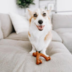 Nylabone Power Chew Easy-Hold Wishbone Dog Chew Toy, Small | Bison flavor, durable dog toys for aggressive chewers, discourages destructive chewing, for small breeds up to 25 lbs
