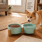 SPUNKYJUNKY Ceramic Dog and Cat Bowl Set with Wooden Stand, Modern Cute Weighted Food Water Set for Small Size Dogs (13.5OZ) & Medium Sized Dogs (28.7OZ) & Cats (3.6 Cups, 2 × Morandi Green)