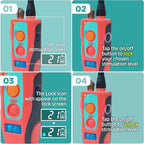 Dogtra E-Collar Tom Davis 280C Boost & Lock, Waterproof, 1/2-Mile Range Dog Training Collar with Remote, Rechargeable, 127 Levels, Vibration, Bungee, No Bad Dogs Trainer for Small, Medium, Large Dogs