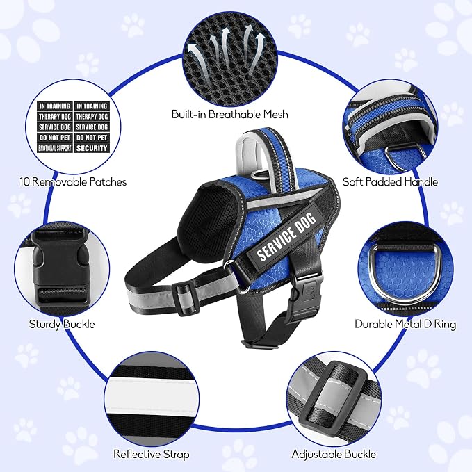 Service Dog Vest Harness and Leash Set, Animire in Training Dog Harness with 10 Dog Patches, Reflective Dog Leash with Handle for Small, Medium, Large, and Extra-Large Dogs (Blue,XL)