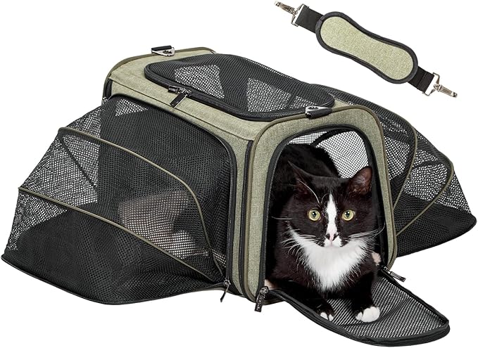Petsfit Medium Double Expandable Cat Carrier for Cats and Small Dogs | 17 x 11 x 11 in; sized for Delta Air Lines; dual-side expansion, anti-sag frame and safety tether; up to 15 lb.