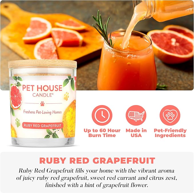 Pet House Candles, Clean Burning, Long Lasting Candles for Pet Odor, Plant-Based, 60 Hour Burn Time - Ruby Red Grapefruit, 9 oz