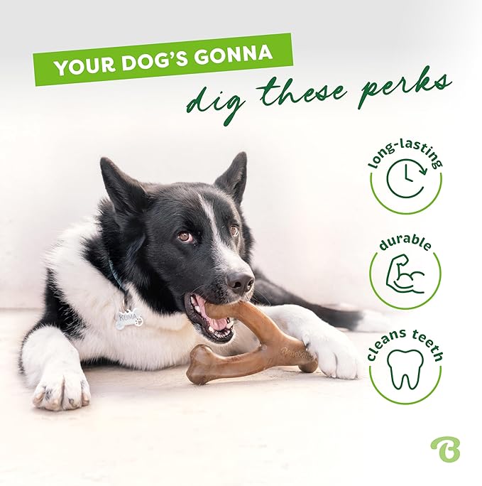 Benebone 2-Pack Wishbone Chew Toy for Aggressive Chewers, Real Bacon, Small