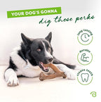 Benebone 2-Pack Wishbone Chew Toy for Aggressive Chewers, Real Bacon, Small