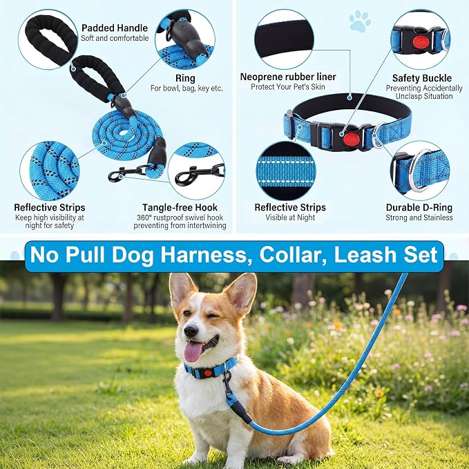 30 Pcs Puppy Supplies Starter Kit for Small Dogs Essentials No Pull Dog Harness, Collar, Leash Set, Toys, Water Bottle, Pet Grooming Kit, Puppy Accessories for Welcome Gift (Blue,Elephant)