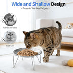 WROSWT Elevated Cat Bowls, 304 Stainless Steel Raised Cat Dishes, Extra Wide Shallow Cat Bowl for Whisker Fatigue Relief & Flat-Faced Breeds, Anti-Vomiting Kitten Feeder with Detachable Stands, 2 Set