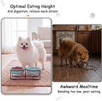 Ceramic Elevated Dog Bowl Set - Double Dog Food and Water Bowls with Metal Stand - Raised Pet Dishes for Puppies and Cats - 2 Cups - 12.5 fl oz - Green