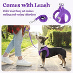 rabbitgoo Dog Harness Small Sized and Leash Set, Step-in Puppy Pet Vest | Light, Soft, Breathable Air Mesh, Easy on and Remove with Hook & Loop, Secure Reflective for Walking, Purple XXXS