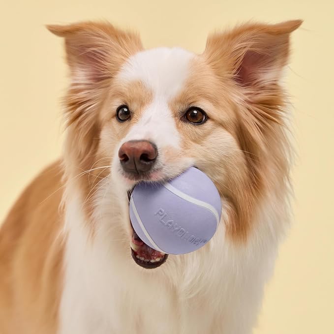 Playology Dog Toys | Squeaky Chew Ball for Large Dogs | Lamb Scented Jumbo Dog Ball | Bouncy Floating Chew Toys for Fetch