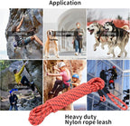 Long Dog Leash for Training 30Ft-Reflective Nylon Rope with Swivel Hook-Recall Agility Lead for Large Small Medium Dogs Outside Walking Hiking-Orange