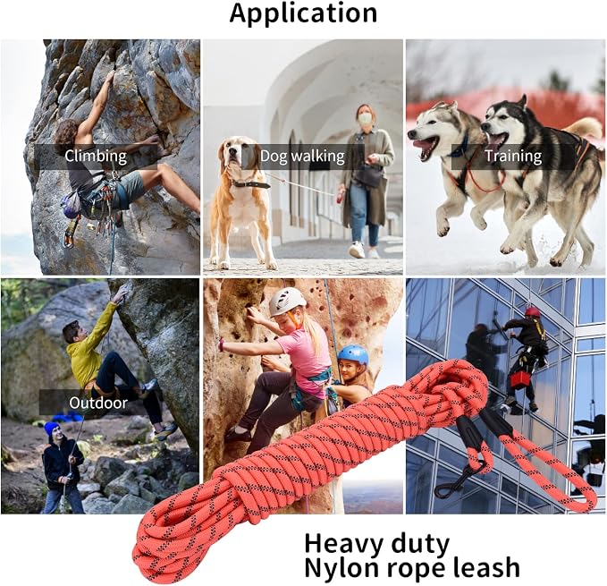 Long Dog Leash for Training 50Ft-Reflective Nylon Rope with Swivel Hook-Recall Agility Lead for Large Small Medium Dogs Outside Walking Hiking-Orange Diam 1/2"