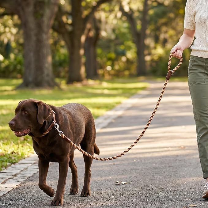Mile High Life Rainbow Dog Leash Braided Cotton Rope w Leather-Wrapped Ends | Rust-proof 360° swivel clasp, Heavy-duty for medium/large breeds. Great for weddings, daily walks (5FT, 1/2", Brown Gradient)