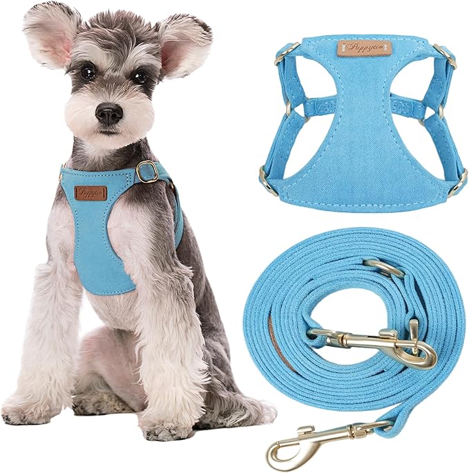Puppytie Dog Harness and Leash Set, Ocean Blue, M (16.5-31 lbs) | Harness Small Size Dog, Dog Leash for Small Dogs, Soft Lightweight and Adjustable, Small Dog Harness for Daily Walks