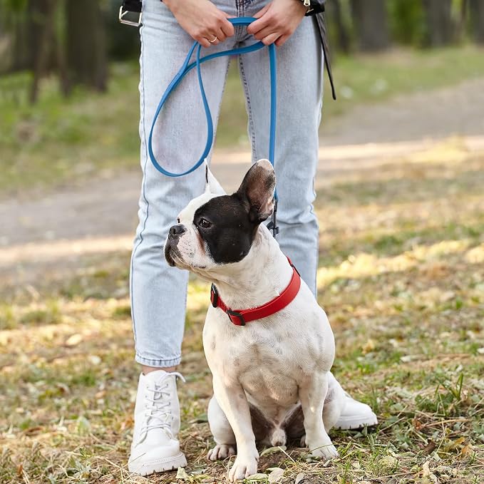 Dogline Biothane Waterproof Dog Leash Strong Coated Nylon Webbing with Black Hardware Odor-Proof Easy to Clean High Performance for Small or Large Dogs Made in USA 2 ft Lead, Cerulean Blue